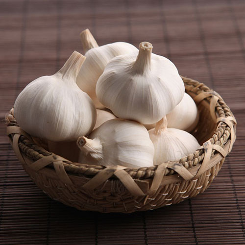 China Fresh Pure White Garlic