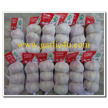 3P/mesh bag of Normal White Garlic