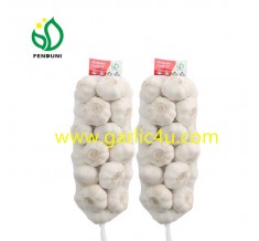 1Kg New Crop China Fresh Garlic