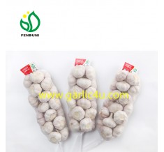 1Kg New Crop Normal White Garlic
