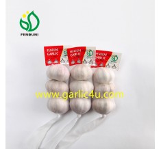 Normal white garlic 3p/bag small packing
