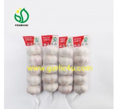Pure white garlic 5p/bag small packing