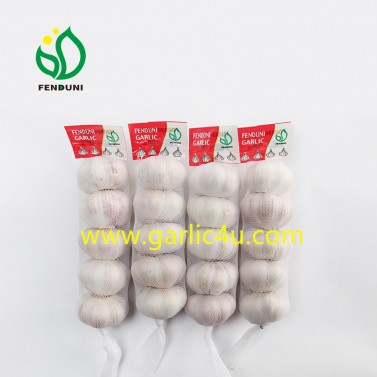 Pure white garlic 5p/bag small packing