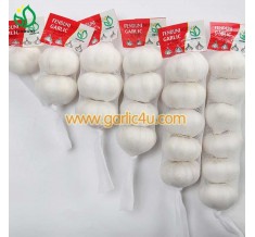 China White Fresh Garlic packaging 6p/5p/4p/3p/2p/1p