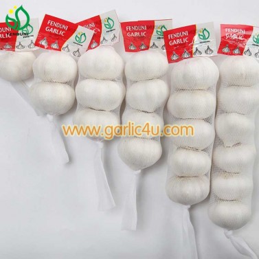 China White Fresh Garlic packaging 6p/5p/4p/3p/2p/1p