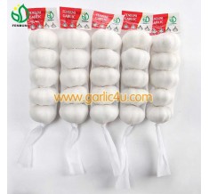 Fresh Garlic in 200g/net bag