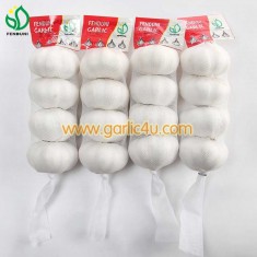 Fresh Garlic in 4p/net bag