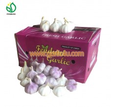 New China Fresh Crop Garlic
