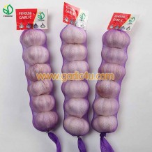 10kg/bag China Fresh Garlic from Jining Fenduni