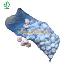 China Fresh Garlic Supplier / Exporter in China