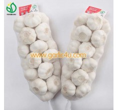 China wholesale fresh garlic lowest price