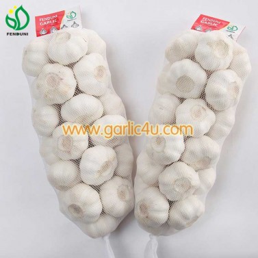 China wholesale fresh garlic lowest price
