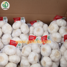 Pure white garlic 500g/10kg carton