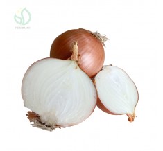 china red onion for sale