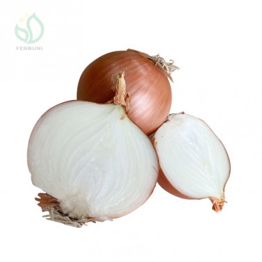 china red onion for sale