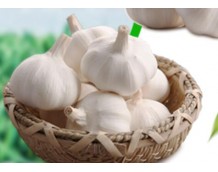 2021 China Garlic Market