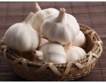 China white garlic is important for health and flavor