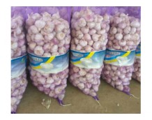 Enquiries of China Fresh Garlic from United Kingdom