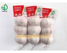 Get Wholesale Fresh Garlic From The Leading Supplier