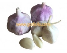 How long can I store peeled garlic?