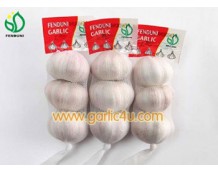 Jinxiang, Jining, Shandong is the largest fresh garlic exporter