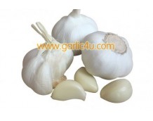 Three basic ways to peel garlic quickly