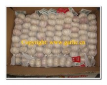 Three Quotes of China Fresh Garlic From Clients