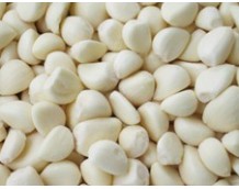 What Are The Health Benefits of China Fresh Garlic?