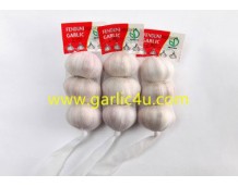 Who is the biggest exporter of garlic?