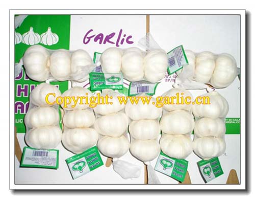 Fresh Garlic in 3p/net bag