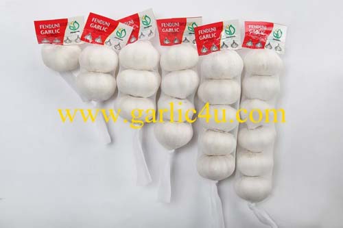 China White Fresh Garlic packaging 
